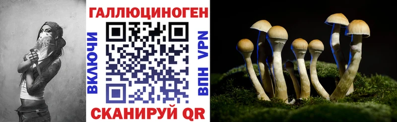 Галлюциногенные грибы мухоморы  наркошоп  Шлиссельбург 